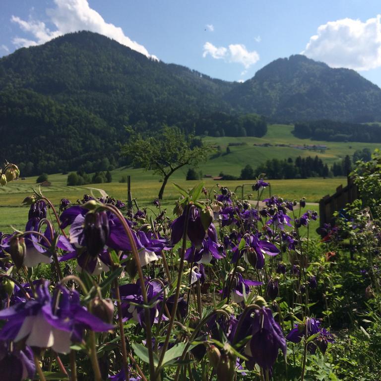 Schifterhof Ruhpolding Βίλα Εξωτερικό φωτογραφία