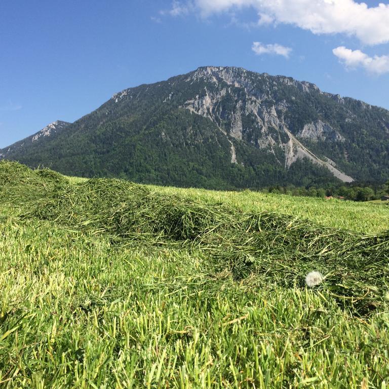 Schifterhof Ruhpolding Βίλα Εξωτερικό φωτογραφία